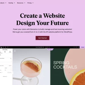 Create website using pro plugins, setup woocommerce